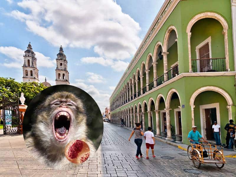 viruela del mono campeche