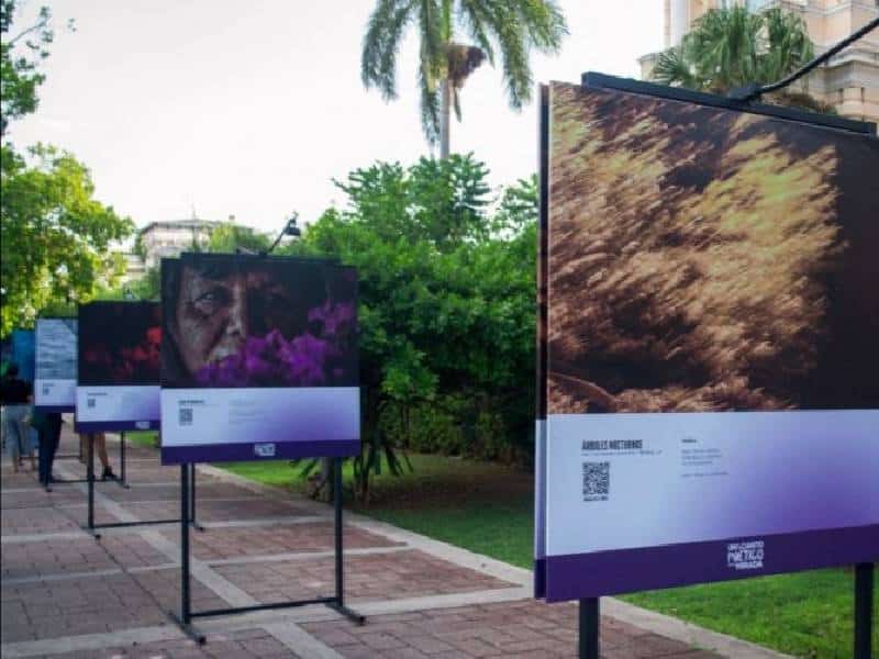 Viaje por ciudades de México a través de fotografías