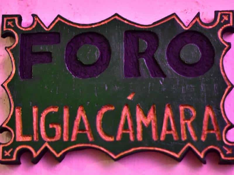 ligia camara