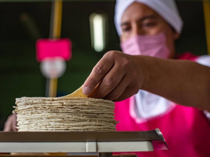 Denuncian molineros nueva modalidad de tortillas pirata