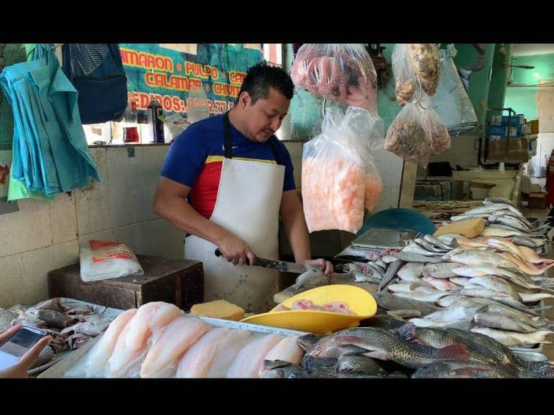 Genera marea roja bajo consumo de mariscos