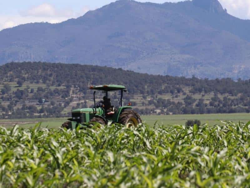 Más apoyo a productores de granos para bajar importaciones