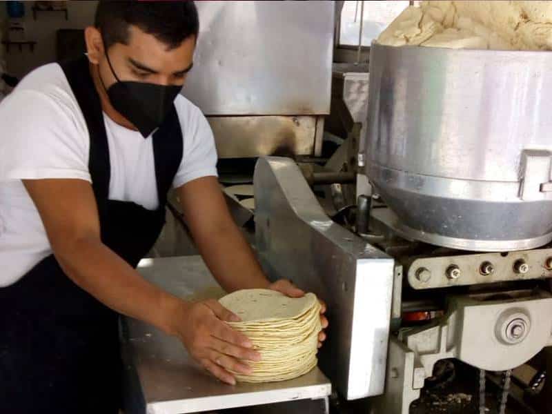 Detectan en Durango tortillas “piratas”