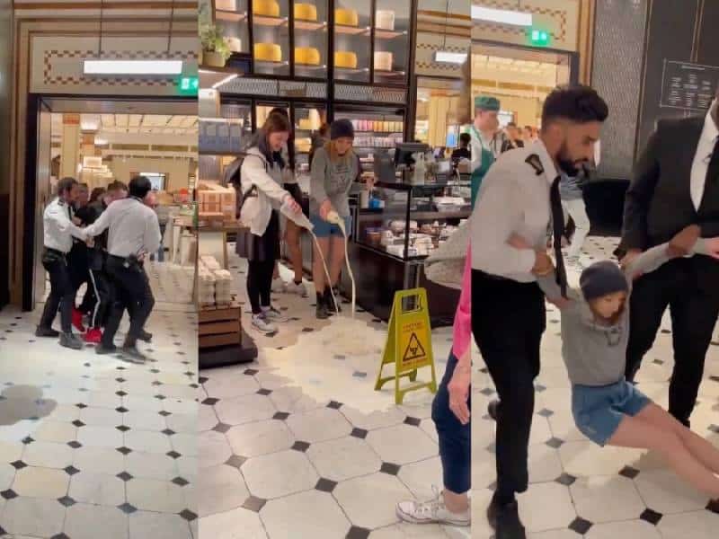 Activistas veganos irrumpen tienda de lujo para derramar leche