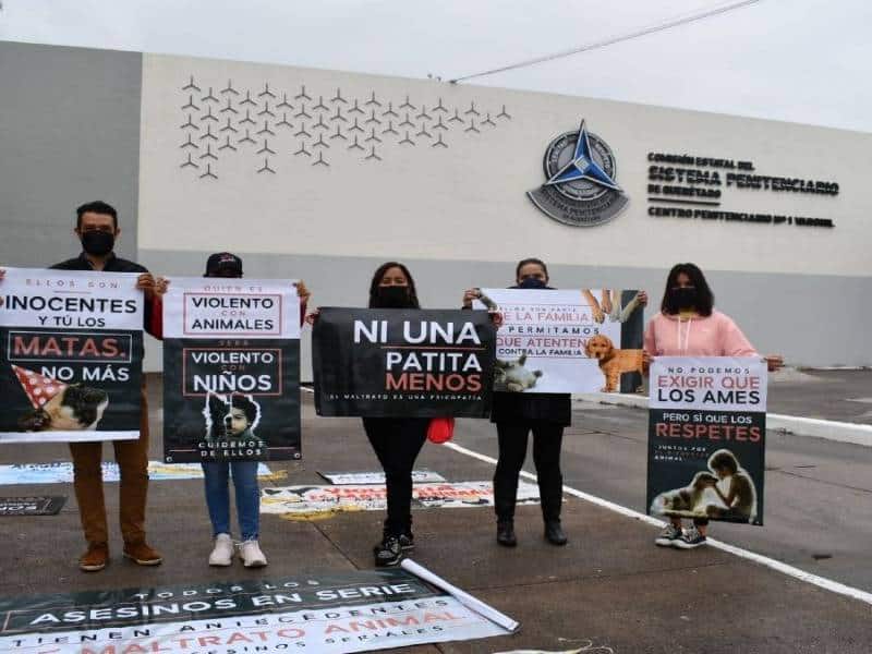 Alistan sentencia sobre el caso de los perritos rescatistas Athos y Tango