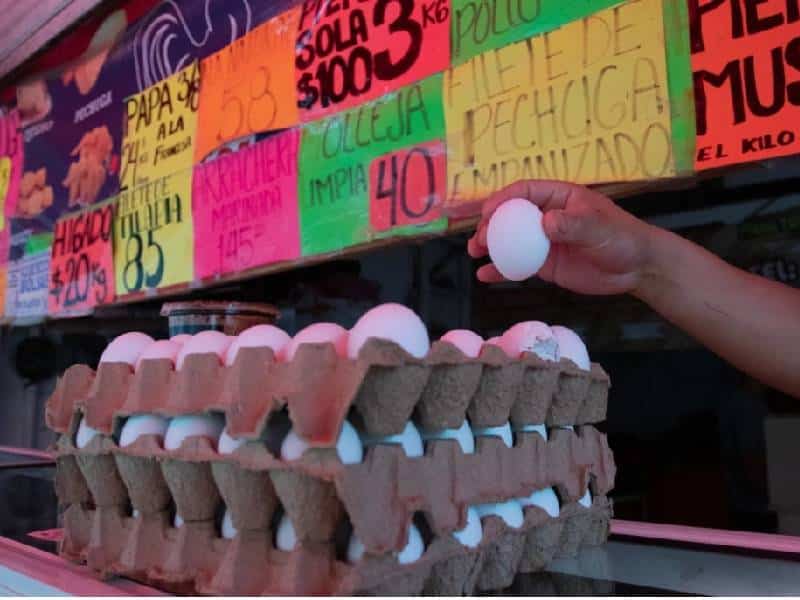 Tecnología baja costos en industria de los alimentos
