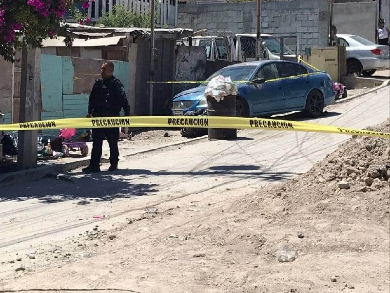 ¡Terrible! Niño fallece tras ser atacado por perro de su familia