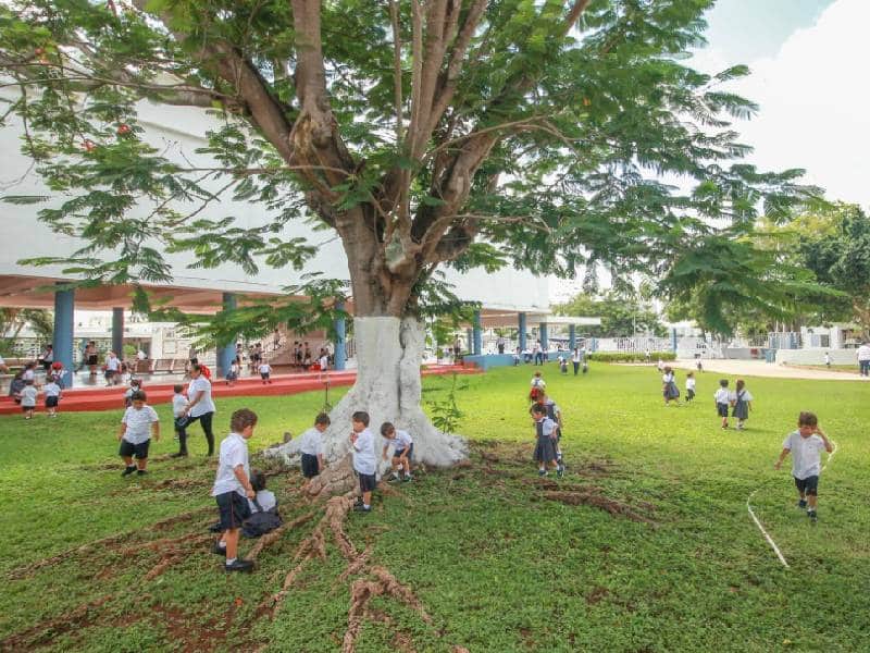 Subirán colegiaturas en los planteles privados