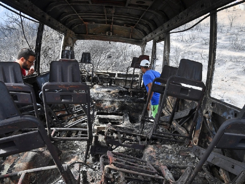 incendios argelia