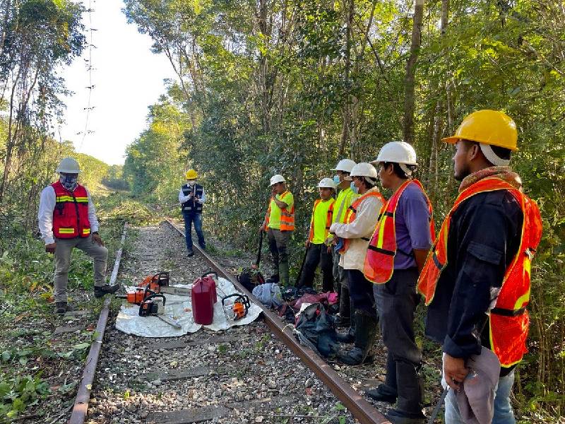 Tren Maya, con cancha libre en el Tramo 5; juez autoriza obras