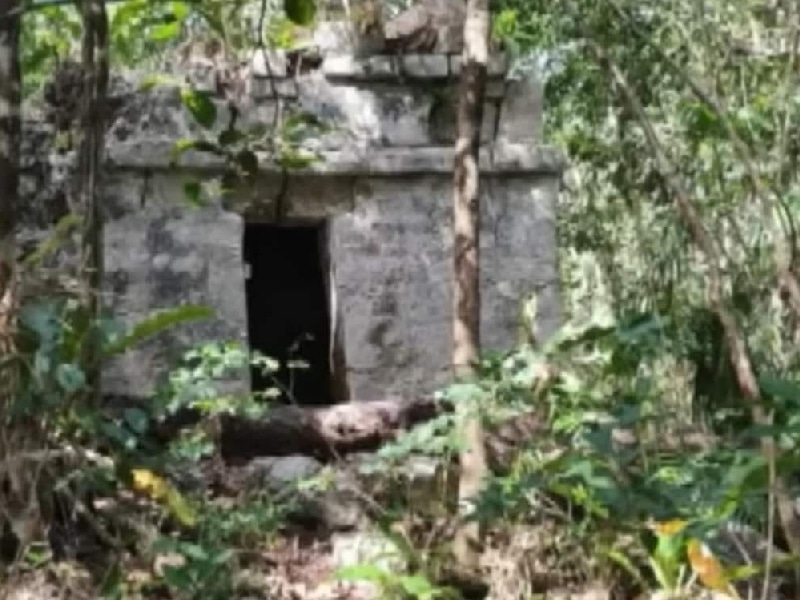 tren maya