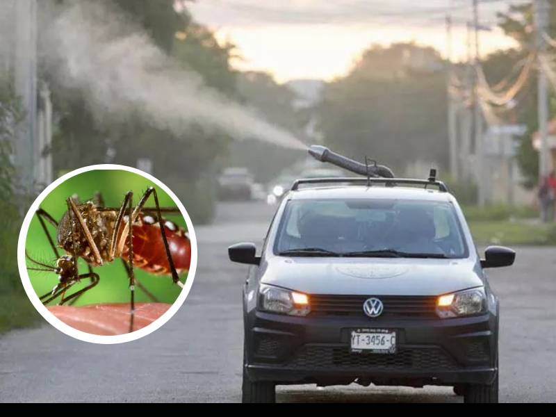 Aumentan a 150 los casos de dengue en la entidad