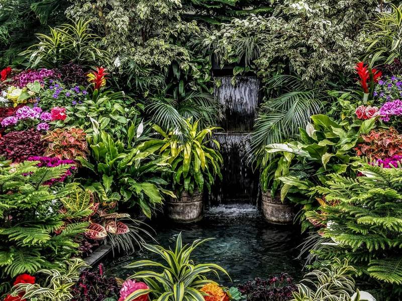 Celebrarán el Día de los Jardines Botánicos