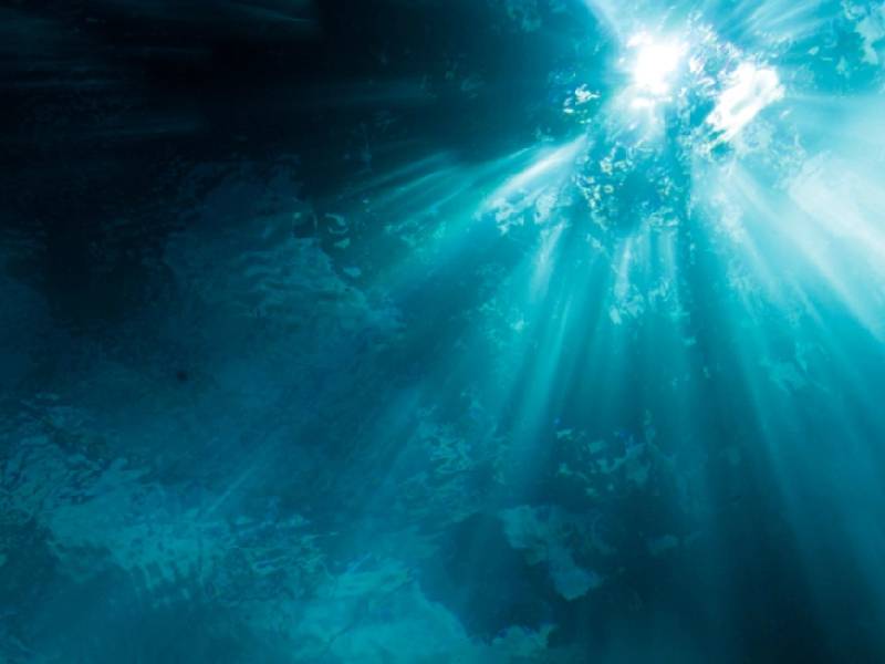 Ilan Cohen; poesía fotográfica desde el fondo del agua