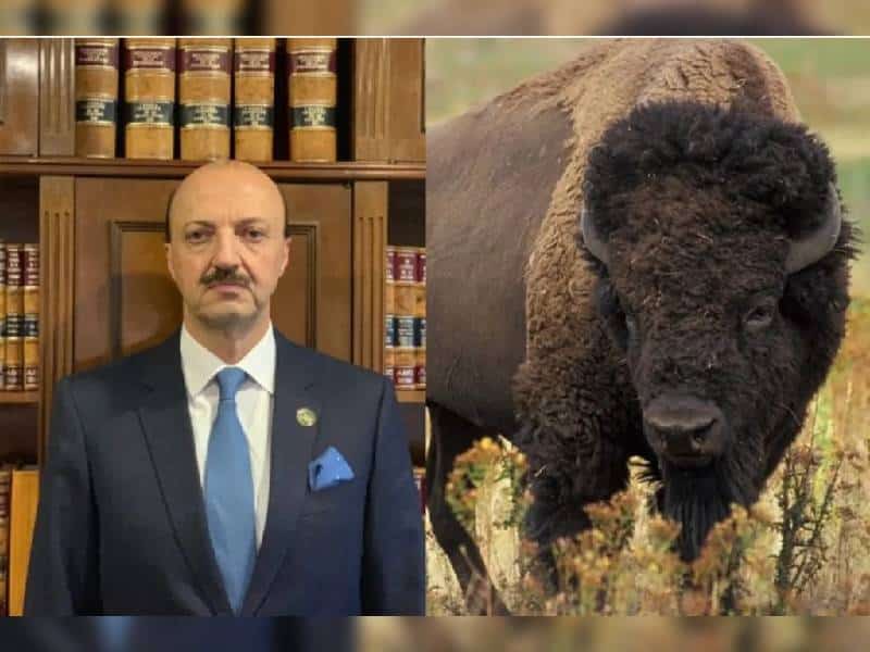 ¿Quién era el cazador mexicano que murió en Argentina embestido por un búfalo?