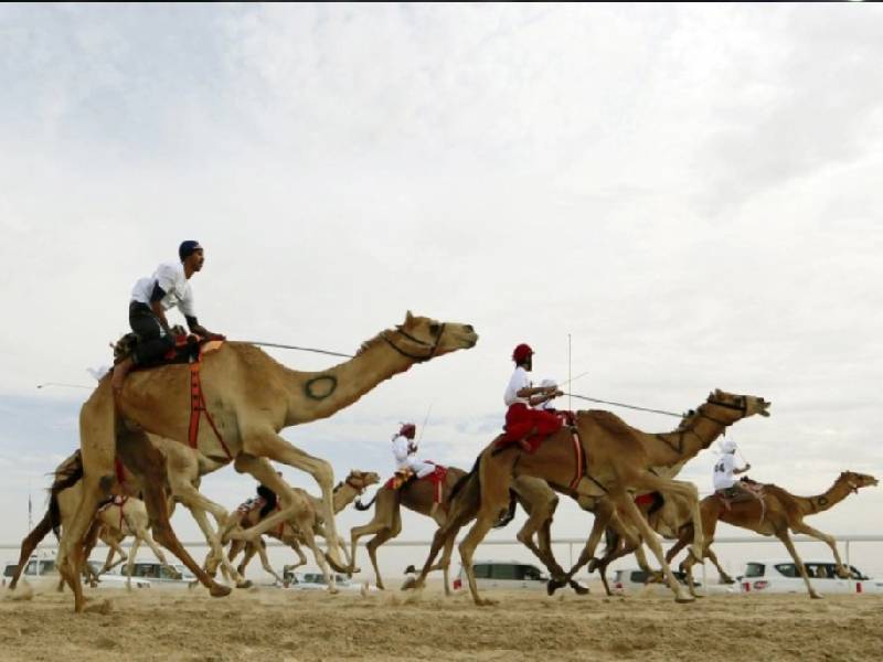 Evolución deportiva en Qatar