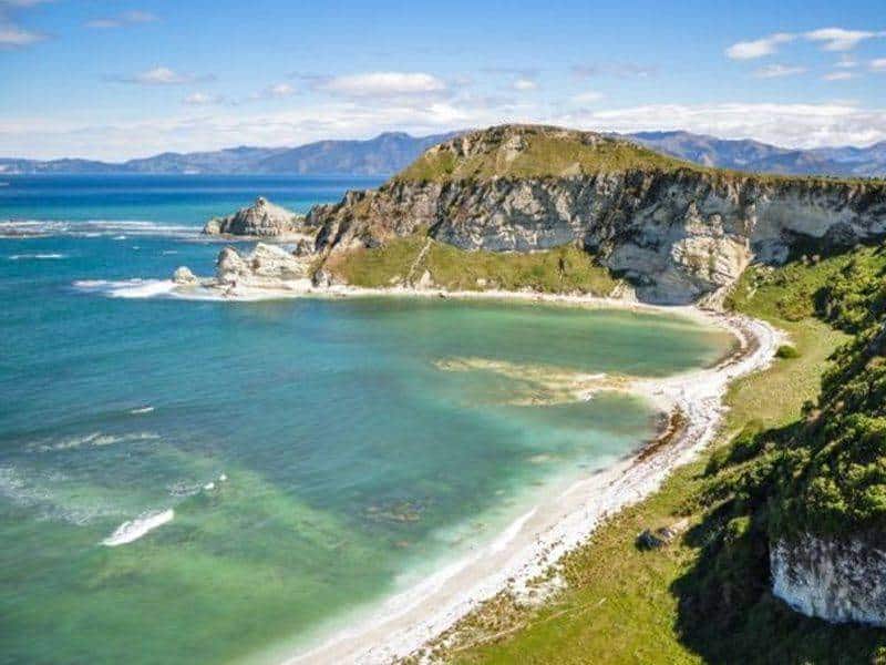 Pagan casi un millón de pesos por trabajar en una isla de Nueva Zelanda