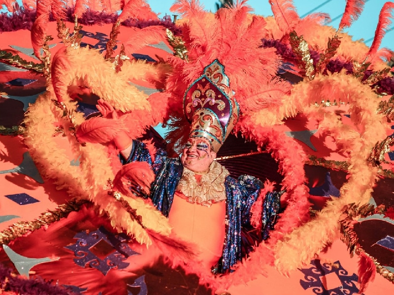 jacarandoso