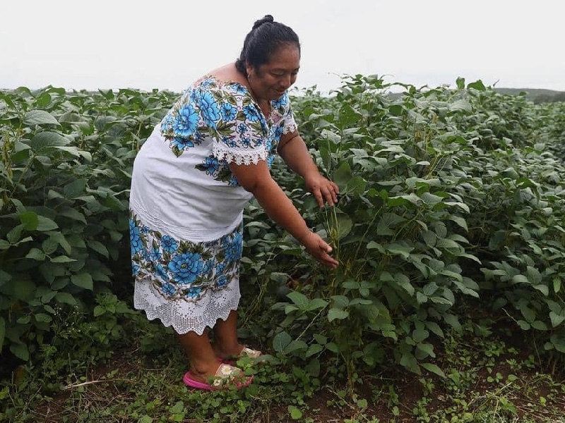 Plan Estatal de Desarrollo