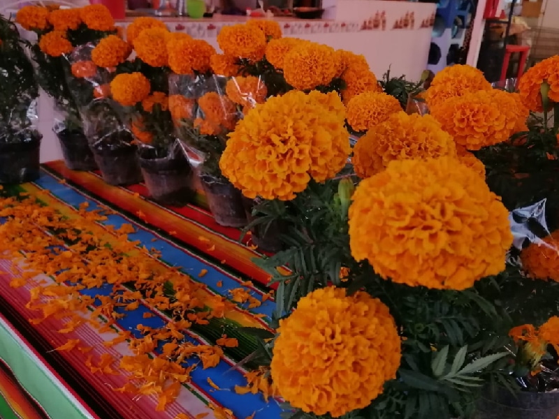 flor
