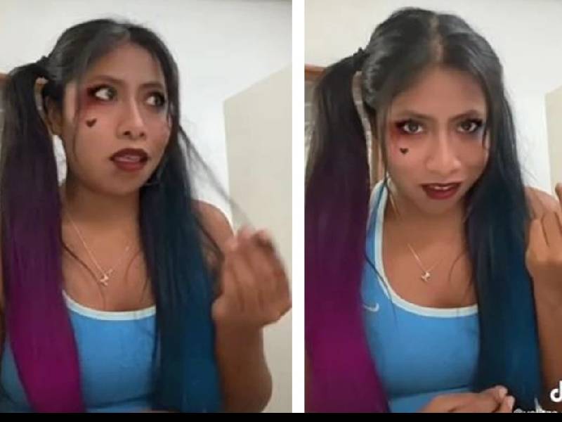 La actriz sorprendió a sus seguidores con su disfraz