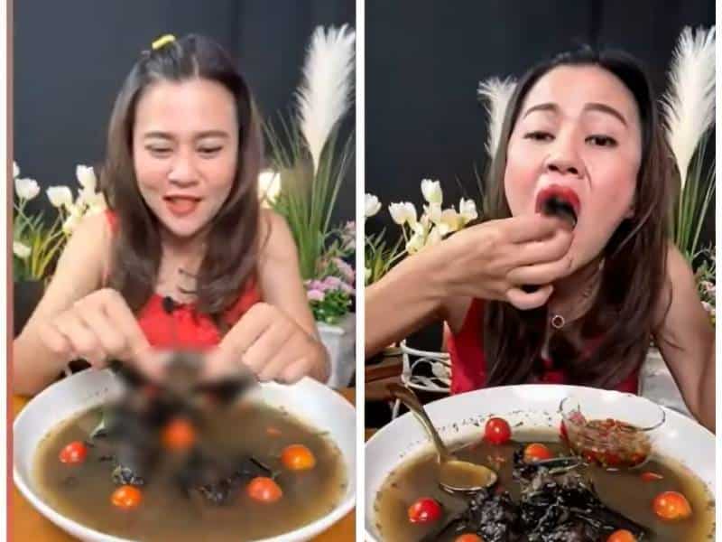 Youtuber sube clip comiendo murciélagos; podría recibir 5 años de cárcel
