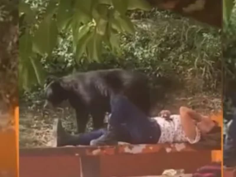 oso