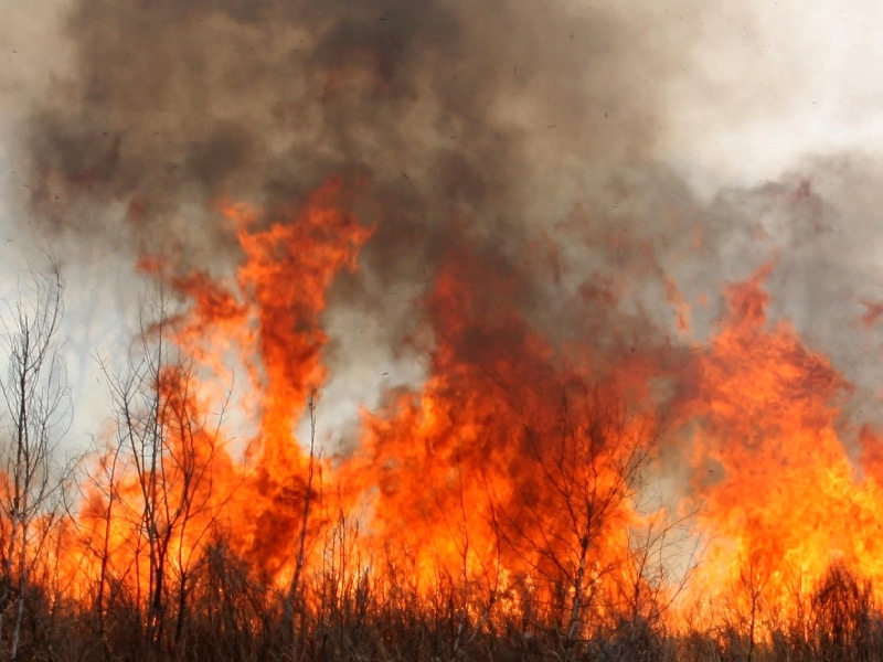 incendios