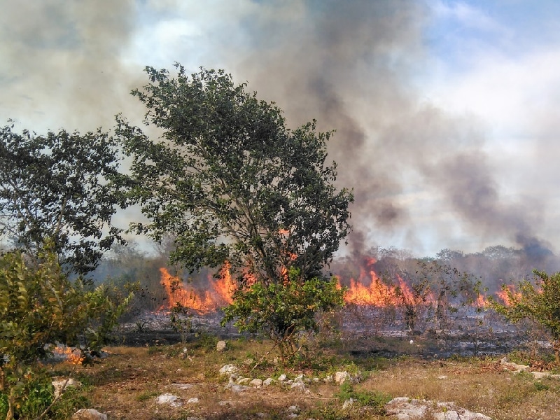 incendios
