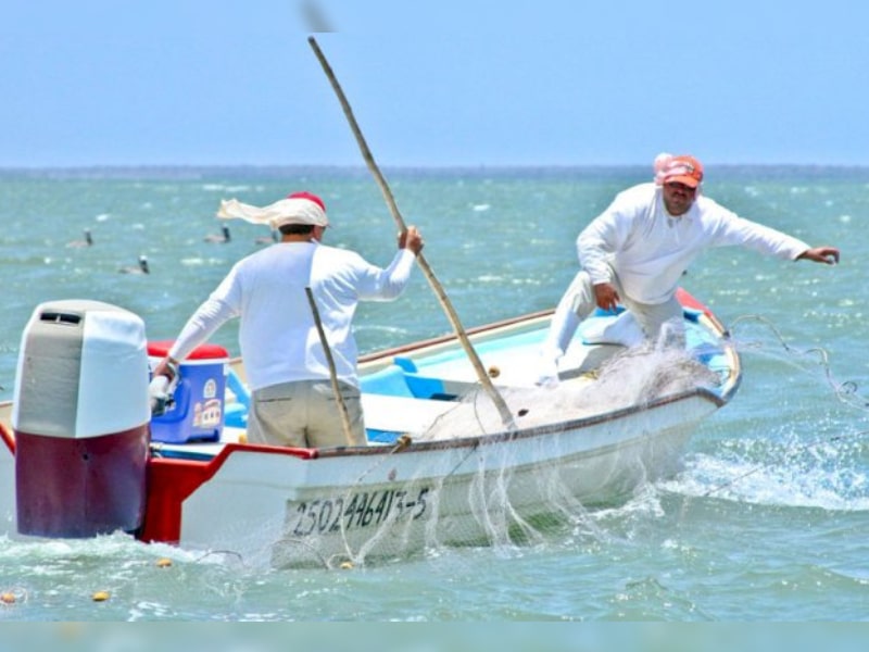 pesca furtiva