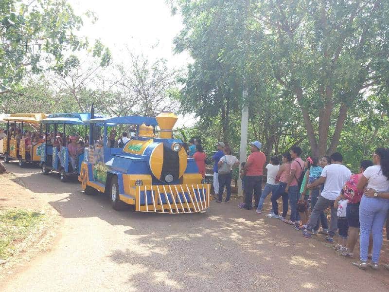 Centenario y Animaya con más de 100 mil visitantes al mes