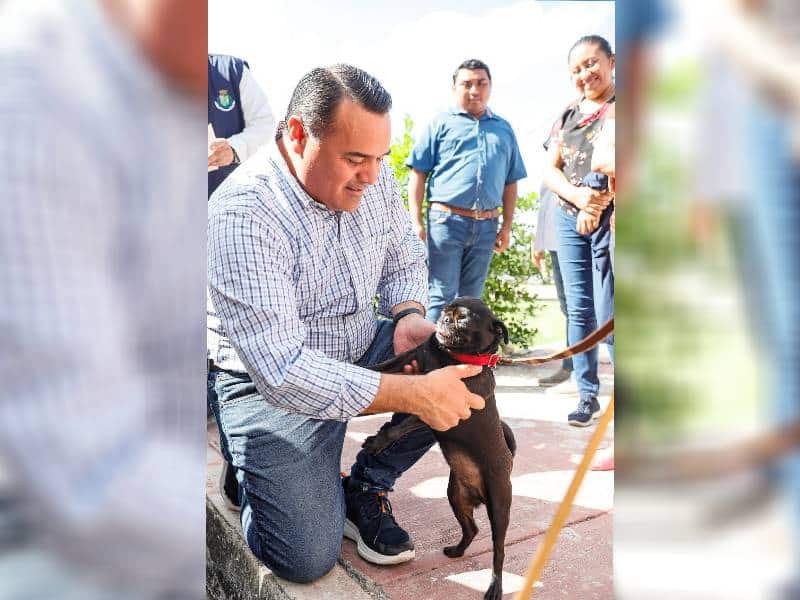 Renán Barrera trabaja por el bienestar de la fauna urbana a través de la adopción responsable