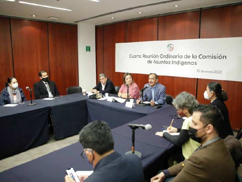 Senadores piden incrementar presupuesto para Lenguas indígenas