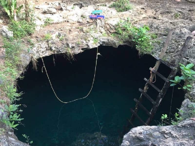 Rescatan a cinco perritos dentro de un cenote