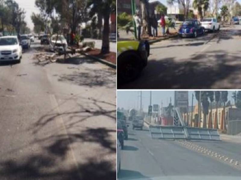 Se reportan fuertes vientos en San Luis Potosí; hay caída de árboles y anuncios de espectaculares