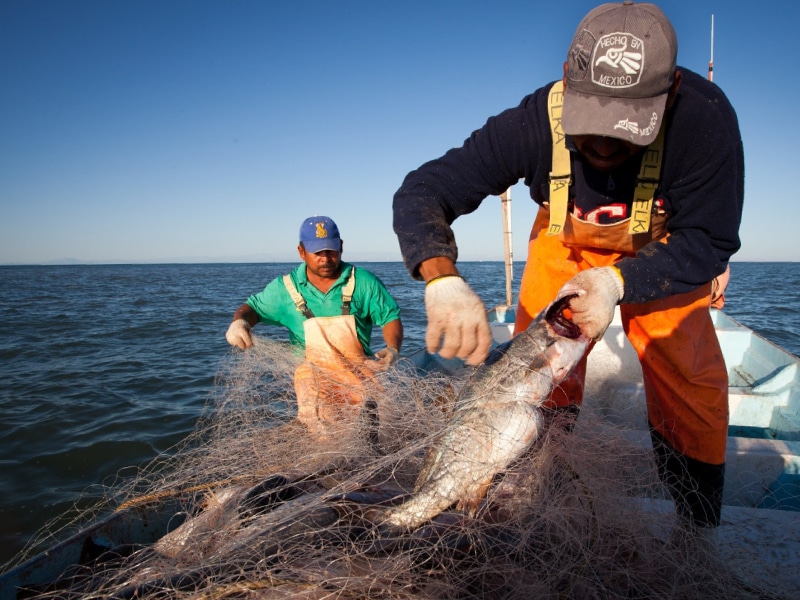 pescadores