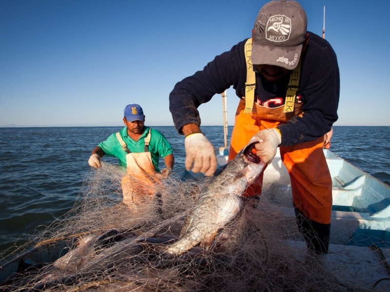 pescadores
