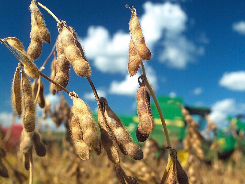Yucatán el estado con mayor importación de la Península