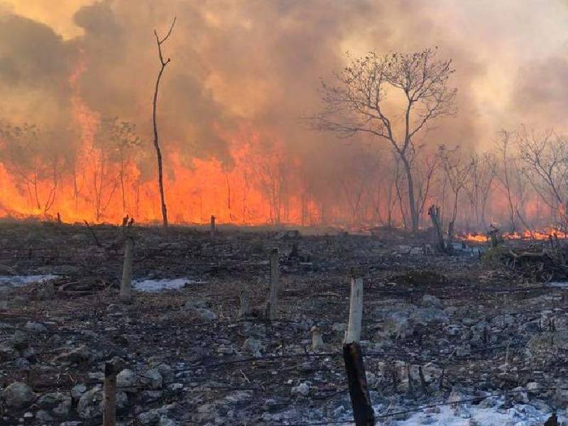incendios