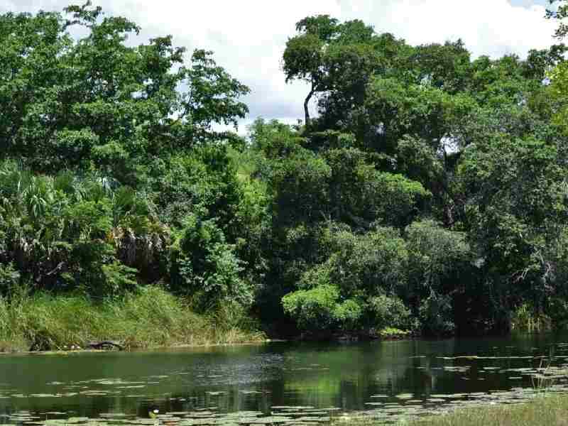 calotmul reserva