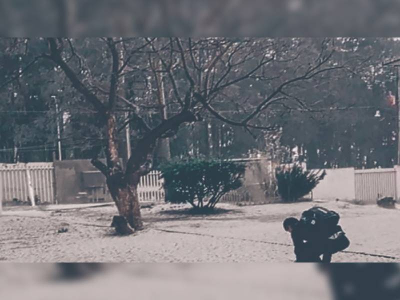 Nevada y granizada sorprenden ante proximidad de la primavera