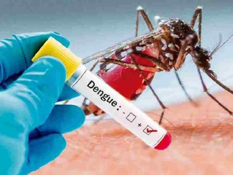 dengue