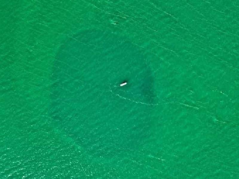 Agujero azul, más que un atractivo turístico
