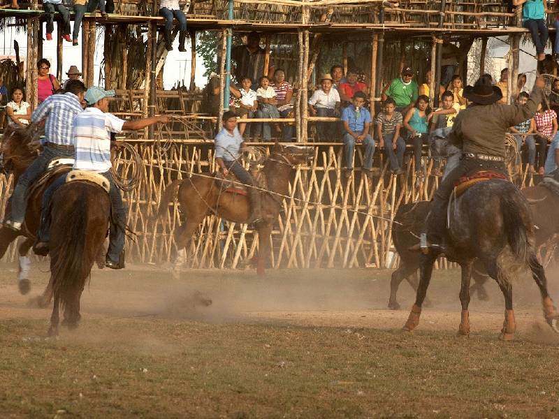 torneos de lazo