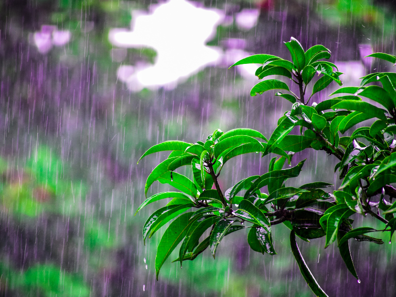 Clima Yucatán se prevén tormentas aisladas