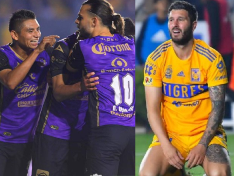 tigres