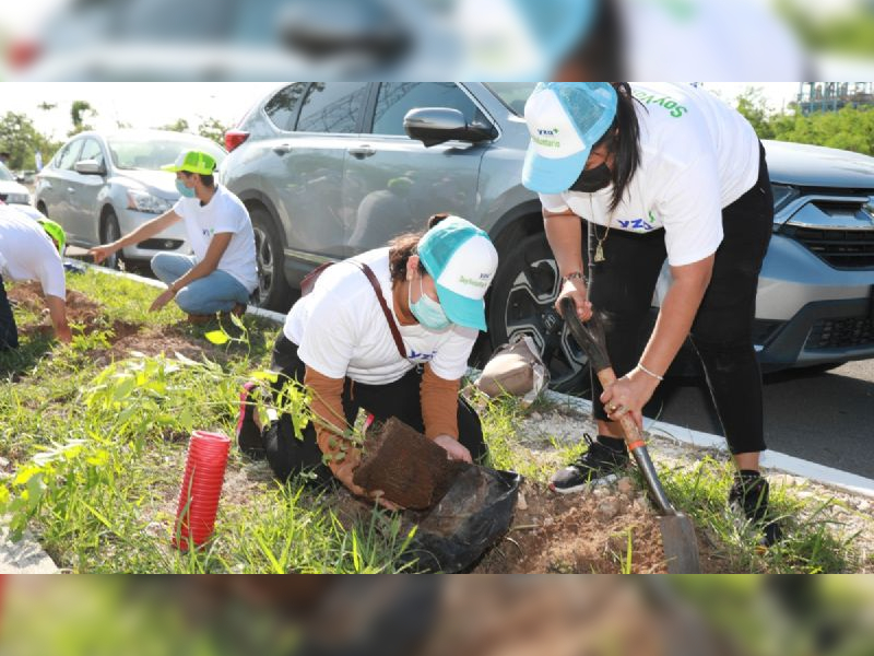 Preparan decimo aniversario de la cruzada forestal 