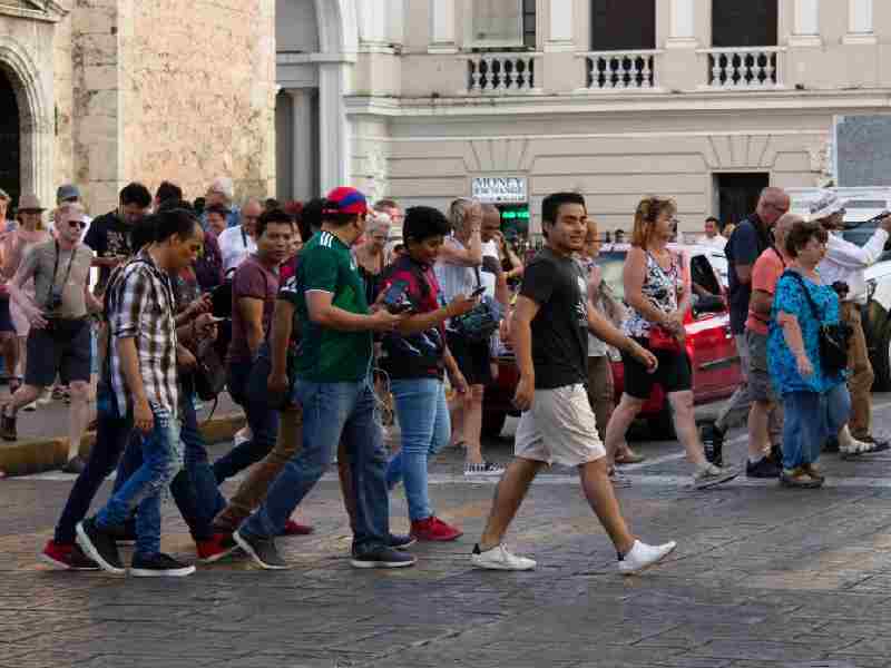 consulta ciudadana