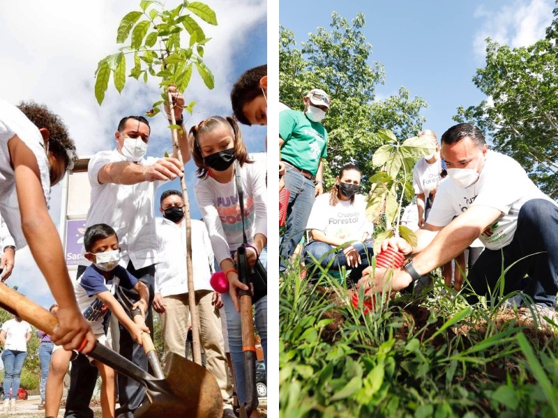 Renán Barrera trabaja para fortalecer la infraestructura verde en el Municipio