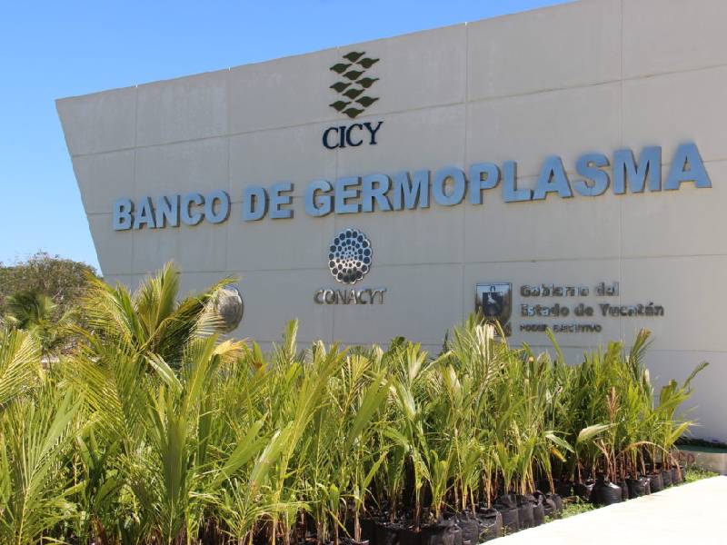 jardín botanico